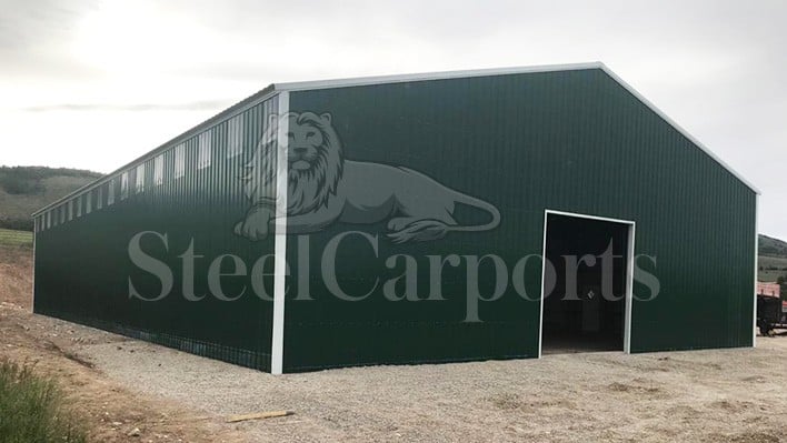 60x100 Metal Building